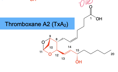 <ul><li><p>Contains a<strong> <mark data-color="#39d7e9" style="background-color: rgb(57, 215, 233); color: inherit;">6-membered ring; </mark><mark data-color="#ddee0c" style="background-color: rgb(221, 238, 12); color: inherit;">C13-14 DB, C-15 Alpha OH</mark></strong></p></li><li><p>Promotes platelet aggregation →<strong> Aspirin reduces the risk of stroke & heart attack by decreasing TX biosynthesis. </strong></p></li></ul><p></p>