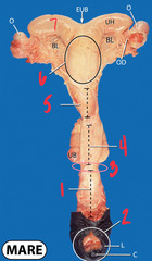 <p>What is 3?</p>