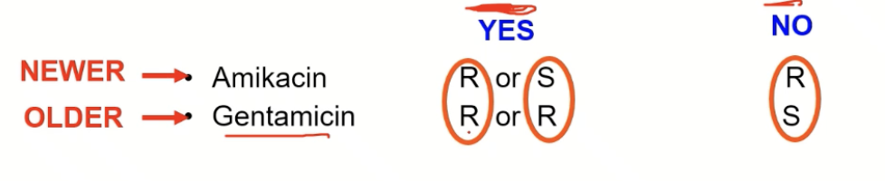 <p>Resistance in older class drug means that the bacteria could be sensitive or resistant to new class drug BUT</p><p>Resistance in newer class drug means that the bacteria MUST be resistant to older class drug</p>