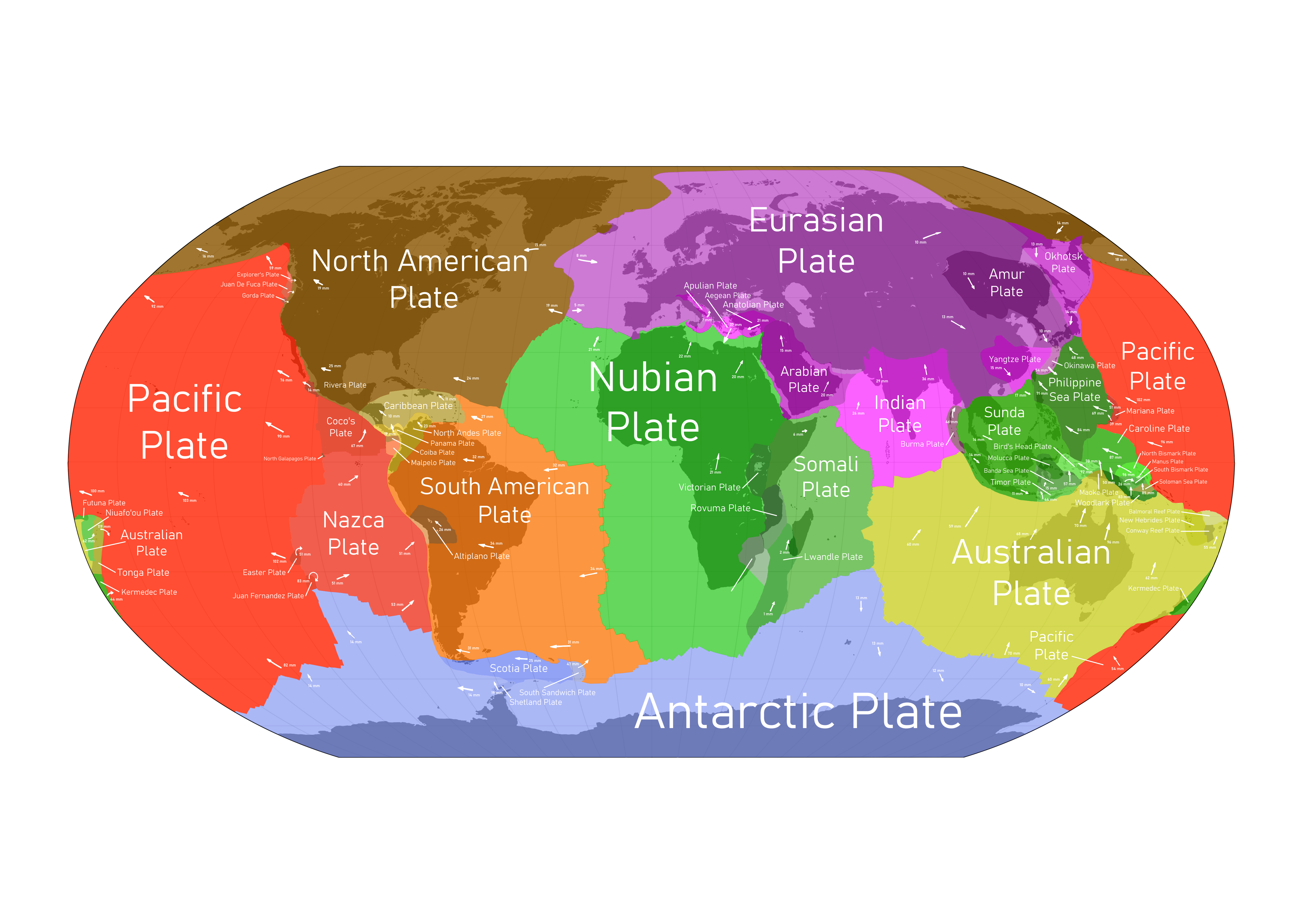 <ul><li><p><strong>Pacific</strong></p></li></ul><ul><li><p><strong>North American</strong></p></li><li><p><strong>Eurasian</strong></p></li><li><p><strong>African</strong></p></li><li><p><strong>Antarctic</strong></p></li><li><p><strong>Indo-Australian</strong></p></li><li><p><strong>South American </strong></p></li></ul><p></p>