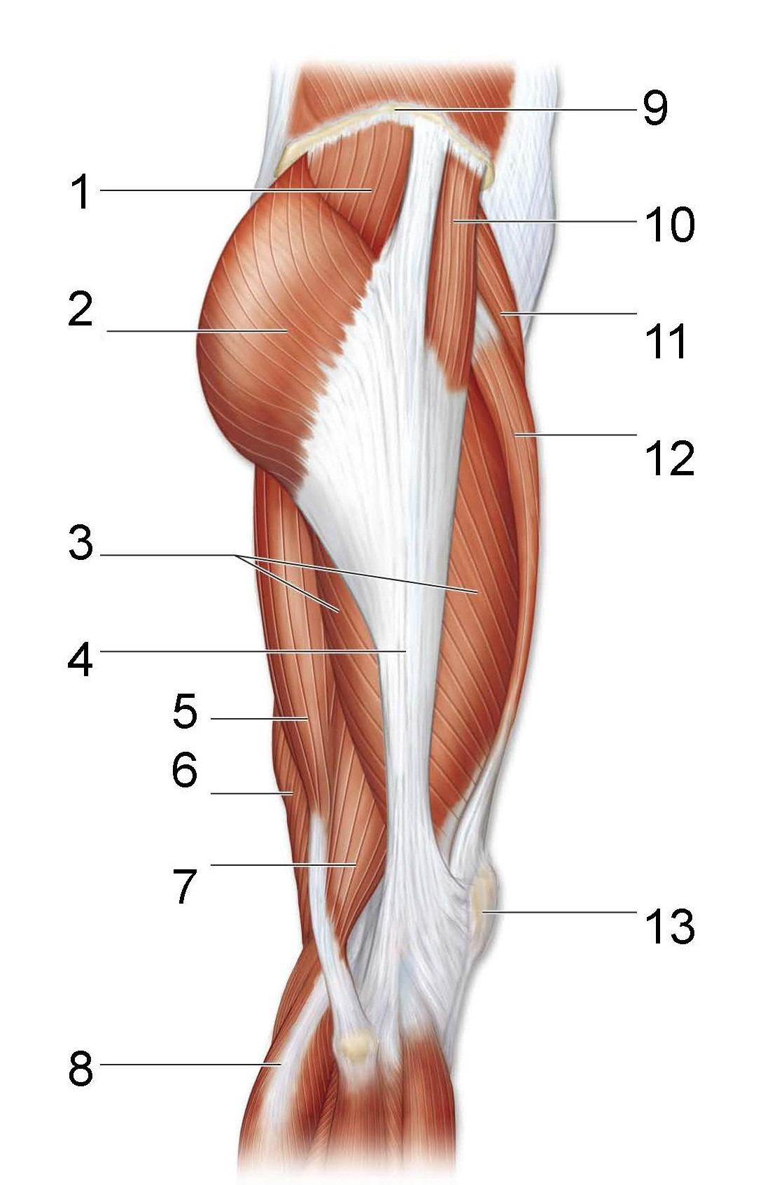 <p>What is identified in the photo 1-8,10,11,12</p>