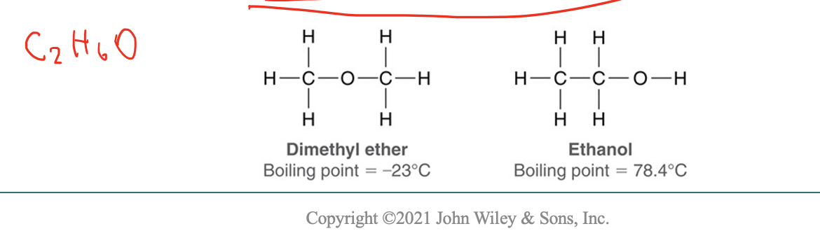 <p>What molecular formula do dimethyl ether and ethanol share?</p>