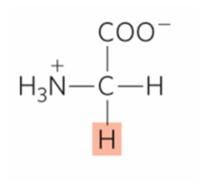 <p>name this amino acid</p>