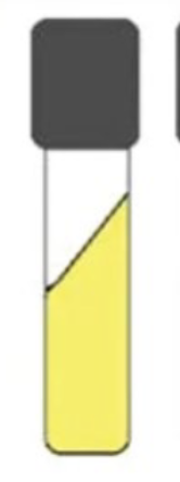<p>test name and result</p>