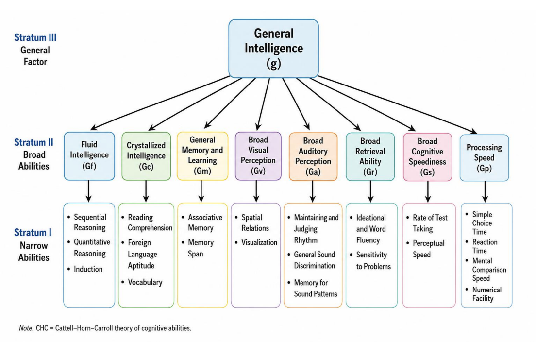 <p>CHC Theory (Cattell-Horn-Carroll): CHC Theory: The Modern Hierarchical Model</p>