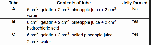 <p><span style="line-height: 107%;">&nbsp; Gelatine is a protein. When a warm gelatine solution cools, it sets to form a jelly.<br>Fresh pineapple juice contains an enzyme that digests protein.<br>A student investigated the effect of pineapple juice on the setting of jelly.<br>He set up three different tubes of warm gelatine solution and recorded which had set after three hours. The contents of each tube and his results are shown in the table. </span></p><p><span style="line-height: 107%;">Explain the results of tube A and B (4) </span></p>