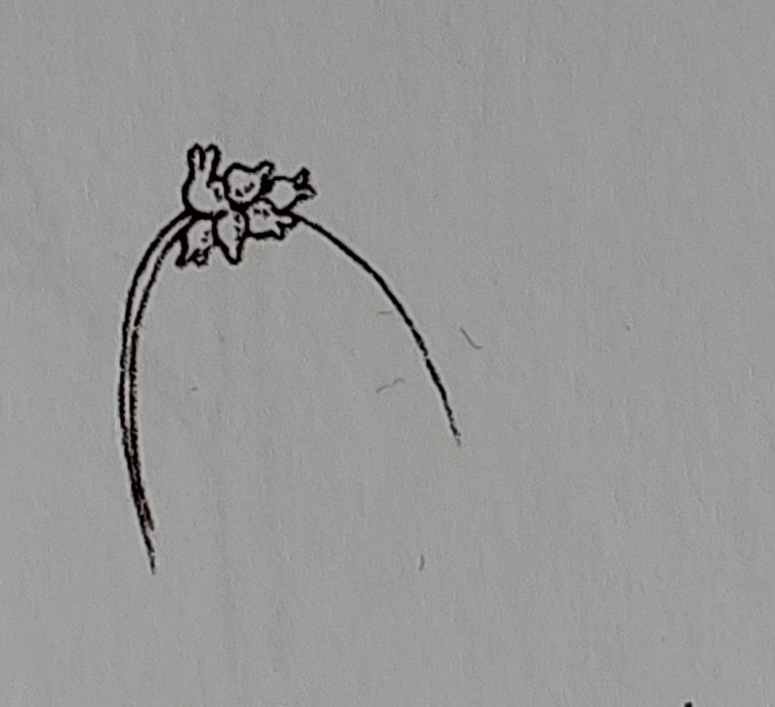 <p></p>