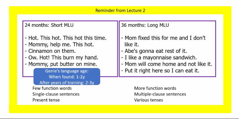 <p>As vocab increases and children start producing sentences, a useful metric is ____, expressed as avg number of words per utterance — whether or not the utterance is a syntactically correct sentence 
increase in this metric is not determined by age but is consistent after starting time</p>
