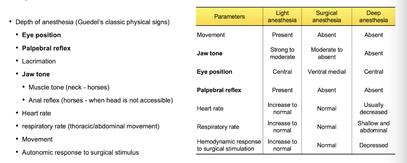 <ol><li><p>eye position</p></li><li><p>palpebral reflex</p></li><li><p>jaw tone</p></li></ol><p><em>look at the picture for the complete list</em></p>