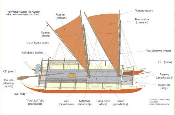 <p>Designed like a double-hulled canoe that were connected in the middle</p>