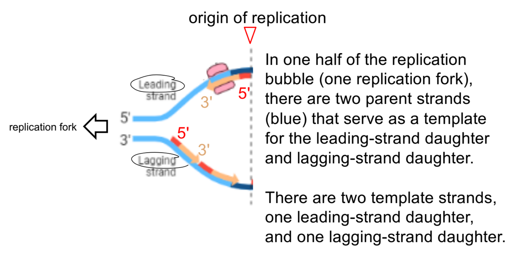 <p>just notice that:</p><p></p>