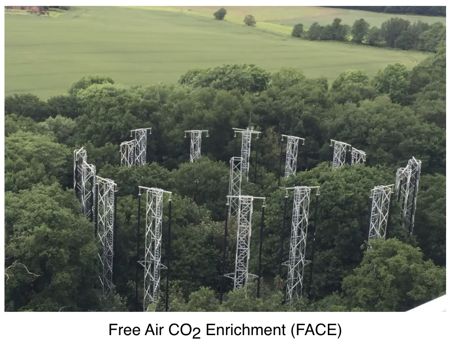 <p>Pipes release CO₂ around plants in an open, natural environment → sensors monitor CO₂ concentration + adjust its release</p>