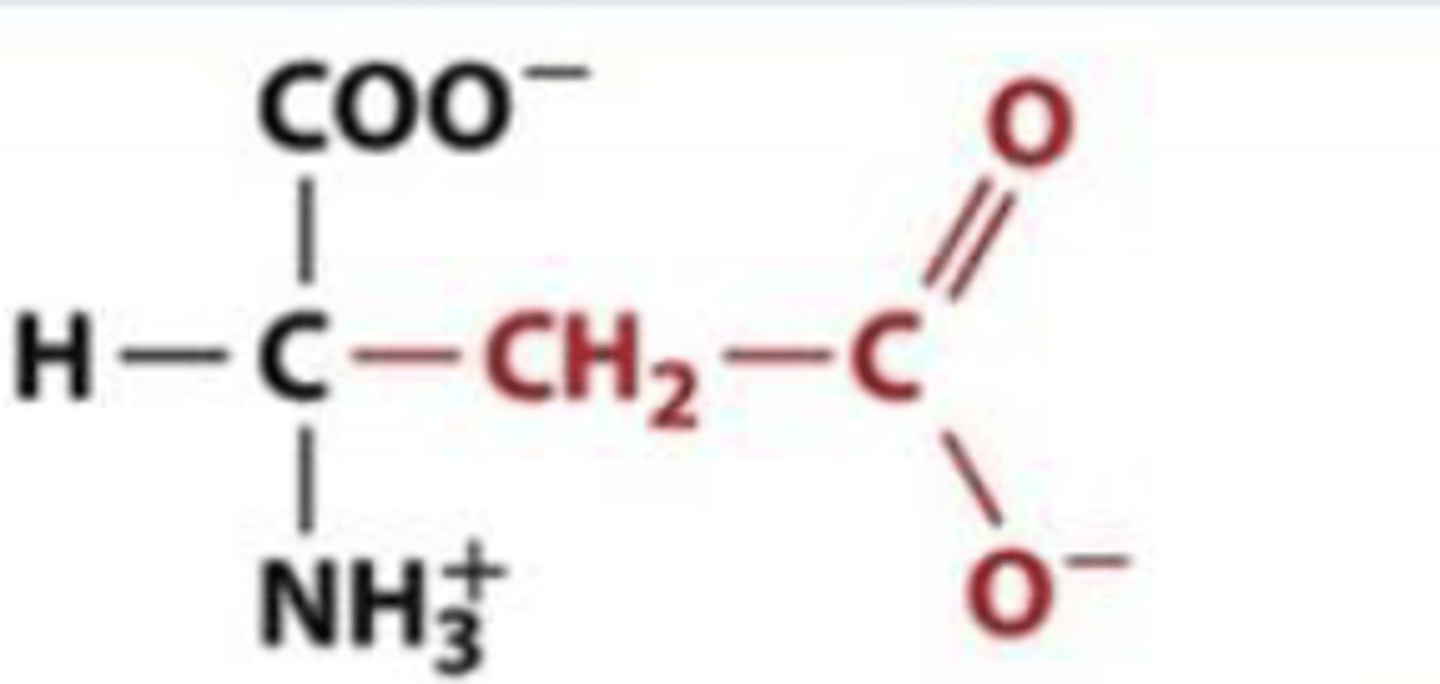 <p>Asp, D, neg charge (acidic)</p>