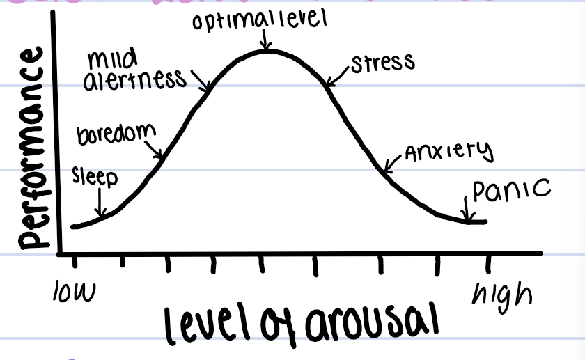 <p>Inverted U theory of arousal</p><p>Research: Bothwell studied IDs between groups of low/high neuroticism combined w low/high stress situations</p><ul><li><p>Low neuroticism: low50%, high75%</p></li><li><p>high neuroticism: low68%, high 32%</p></li></ul><p></p>