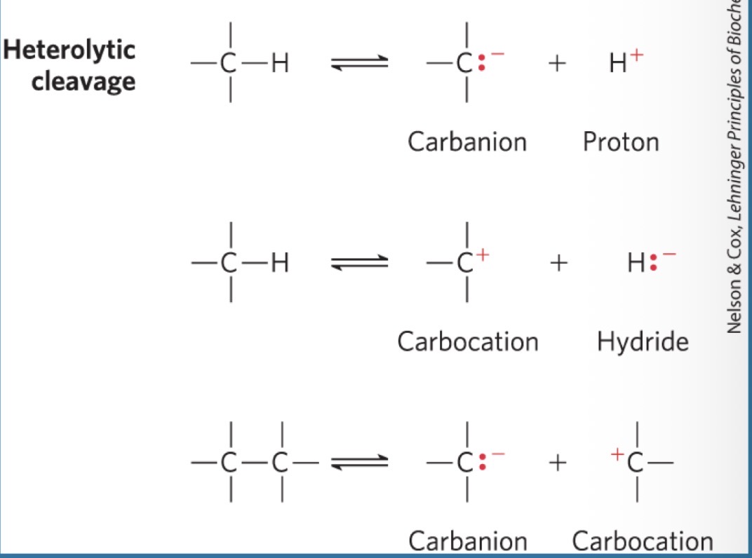 <p>Heterolytic cleavage (more common)</p>