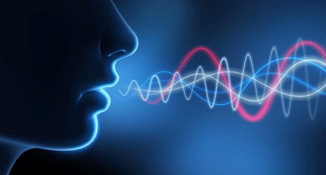 <p>voice</p>