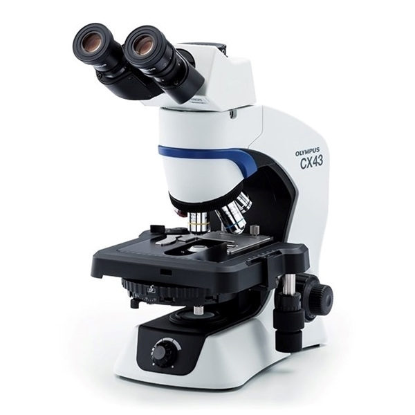 <p>Used to examine transparent specimens, such as unstained cells</p>