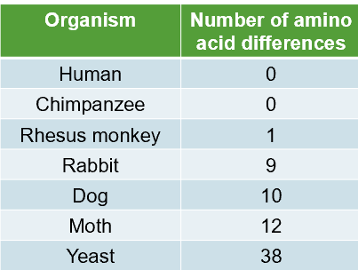 <p>Usually uses proteins and DNA</p><p>E.g. comparing the number of amino acids in Cytochrome C (protein found in the mitochondrion)</p><p>OR</p><p>DNA-DNA hybridisation</p><p>Extraction and comparison of DNA samples of two species. Sequences of proteins in DNA strands are compared</p><p>Degree of similarities in DNA sequence determines evolutionary relationships</p>