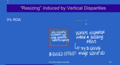 <p>When vertical disparities are eliminated d/t resizing effect, what is also eliminated?</p>