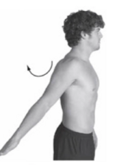 <p>glenohumeral extension</p>