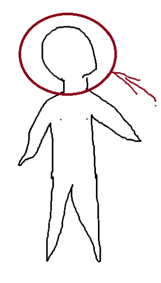 <p>Head region</p>