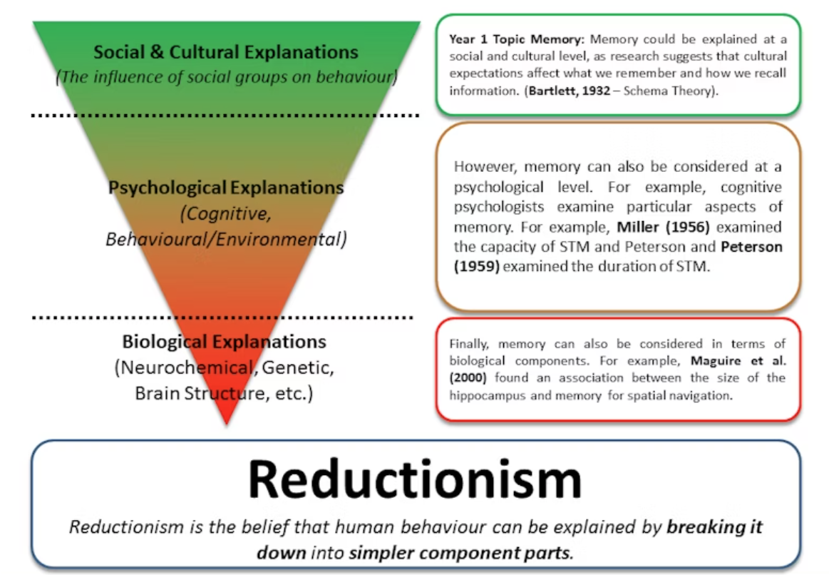 <p>The idea that behaviour can be explained at different layers, such as the biological, cognitive, social, or environmental level.</p><ul><li><p>Levels of explanation refer to the fact that the same behaviour may be explained in different ways depending on the degree of detail or the focus of analysis.</p></li><li><p>Lowest level = Physiological (biological) explanations, Middle level = psychological explanations (e.g. cognitive and behavioural), Highest level = social and cultural explanations (influence of social groups)</p></li></ul><p>Example: Depression could be explained biologically through serotonin, cognitively through negative thinking, and socially through life stress. These are different <strong>levels of explanation</strong>.</p>
