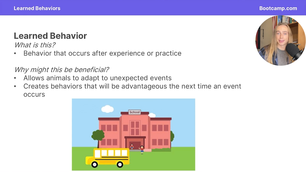 <p>They allow animals to adapt to unexpected events and create behaviors that will be advantageous the next time an event happens </p>