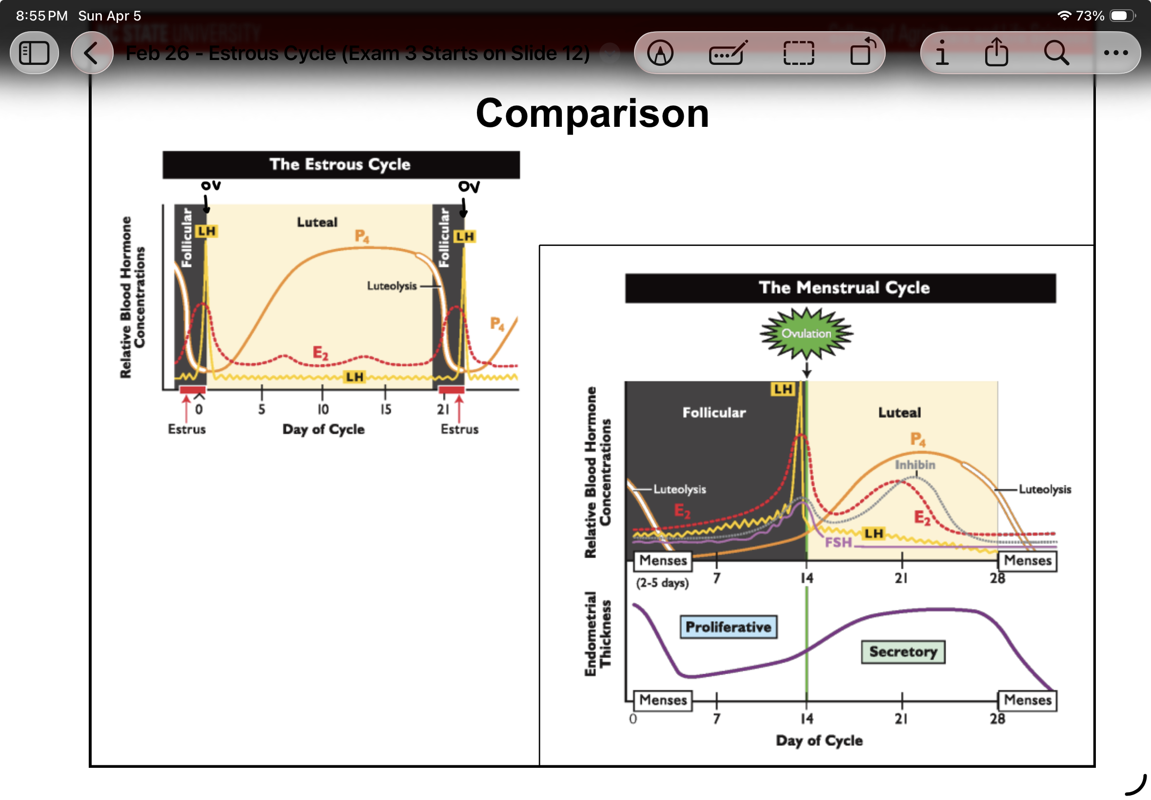 knowt flashcard image