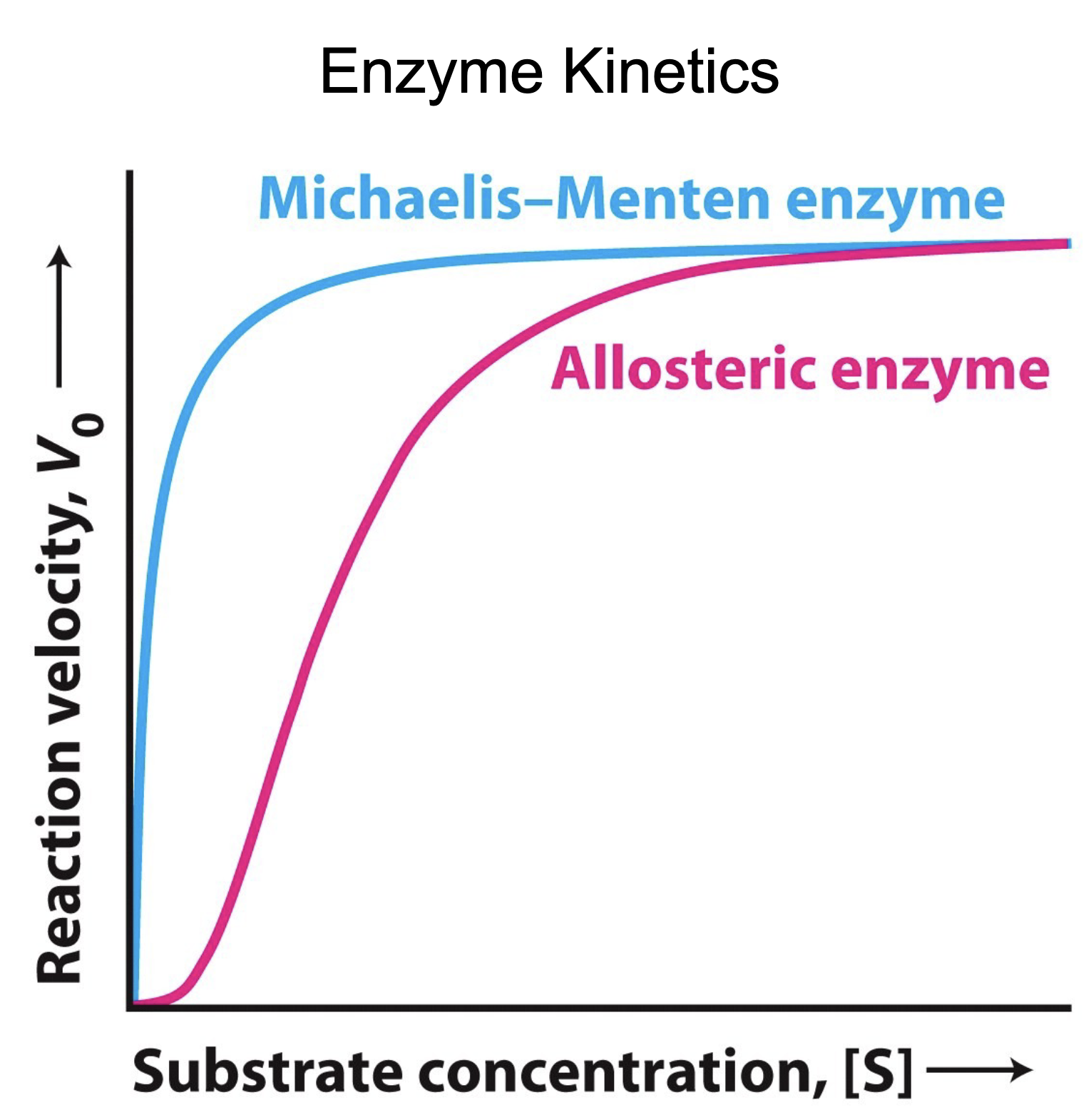 <p>In the curve below, which represents myglobin and hemoglobin?</p>