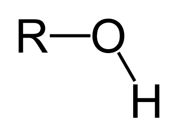 <p>what is the name of this functional group?</p>