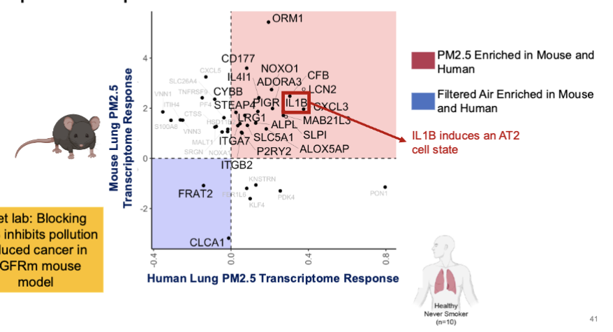 <ul><li><p>IL1B is upregulated in both human and mouse pollution exposure experiments</p></li><li><p>blocking IL1B inhibits pollution induces cnacer in EGFRm mouse model</p></li></ul><p></p>