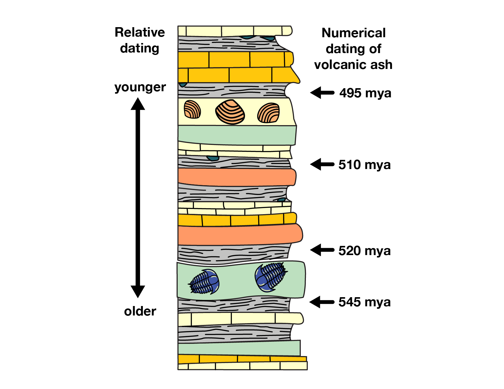 <p>Relative Dating</p>