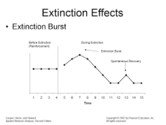<p>The recurrence of an extinguished conditioned response in response to the CS following extinction without additional pairing.</p>