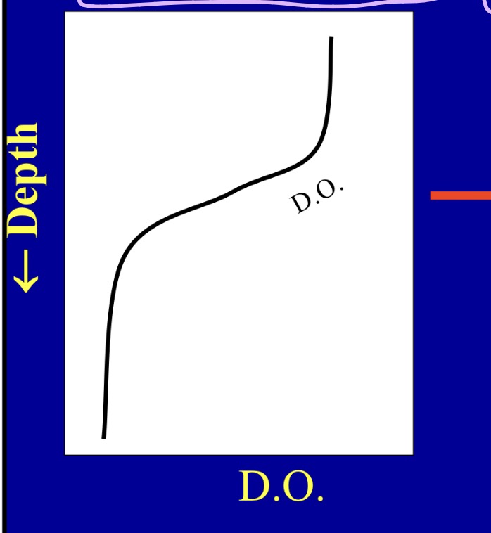 <p>What kind of D.O curve is this?</p>