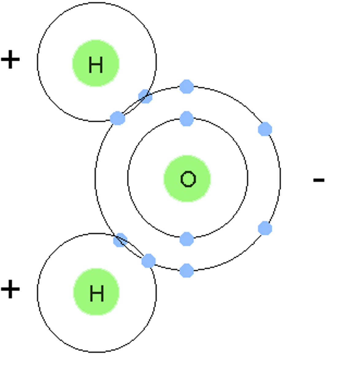 <p>Groups of two or more atoms held together by chemical bonds.</p>