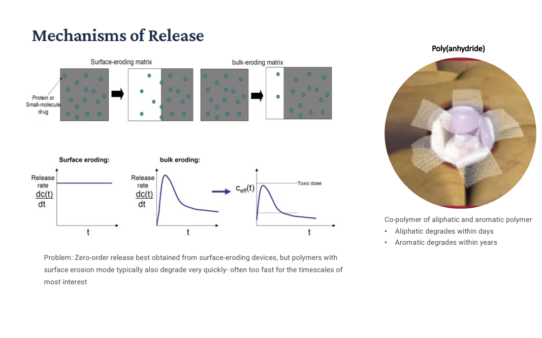 <p>Drug release depends on how the polymer erodes. Surface erosion = controlled, steady- delivery. Bulk-erosion = fast, less predictable release. Surface erosion => degradation happens layer by layer from the outside. The core stays intact until exposed. What happens: Drug is released gradually as the surface erodes. Thickness decreases over time! Graph: release rate dC/dt is constant => flat line => called zero-order release (ideal for medicine); good for steady drug levels in the body, avoid spikes or overdosing!</p><p>Problem: Zero-order release best obtained from surface-eroding devices, but polymers with surface erosion!</p><p>Bulk Eroding: BIG initial spike (burst release) then decreasing release over time! Can exceed toxic dose. Water penetrates the entire system. First degradation happens throughout the whole material at once. What happens: Drug is trapped initially. Then, suddenly releases.</p><p>Image: Poly(anhydride) Implant: a classic example of a surface eroding material. Aliphatic (category of hydrocarbons where carbon atoms are joined together in straight chains, branched chains, or non-AR rings) segments: Degrade within days, providing the initial “drive” for erosion. Aromatic segments: degrade over years, providing the structural stability needed to slow the overall process down.</p><p>More clarification: Surface Erosion (slow water penetration, stays on the outside); shape gets smaller but keeps its shape; polyanhydrides; release is predictable and constant. Bulk Erosion: Fast water penetration (soaks the whole thing), shape stays the same size but gets hollow or soft, <strong>PLA, PGA, PLGA </strong>(release is often fast at first and then unpredictable). Drug Release for Bulk Erosion: as the internal surface crumbles, you often get a massive burst of drug all at once because the “walls” holding the drug in are failing everywhere.</p><p>Top Schematics: Left Side: Surface-Eroding Matrix: In the second frame, the gray box has shrunk in size; left portion is gone; Water is unable to penetrate the interior. It can only react with the molecules on the very surface. As those molecules break off (erode), the drug molecules that were trapped there are "liberated" and released! The drug in the center of the box remains perfectly dry and protected until the erosion front actually reaches it. This is why the release is so steady; you release a constant amount of drug for every millimeter of polymer that "melts" away.</p><p>Right Side: Bulk-Eroding Matrix: In the second frame, the gray box is still the <strong>EXACT same size</strong> as the first frame, but notice the teal dots on the far left. <strong>They are now in a white area, even though the "box" hasn't shrunk</strong> yet. Water has rushed into the entire structure. It is breaking the polymer chains in the middle, the back, and the front all at the same time yet. The polymer is becoming MORE POROUS and "Swiss-cheese-like." The drug is released because it can now diffuse through the water-filled pores that have formed inside the matrix. The device will eventually crumble all at once, but it doesn't necessarily get smaller in dimensions until the very end of its life.</p><p>More Chat: <strong>Surface Erosion</strong> is generally preferred because the dosage is <strong>predictable</strong>. If 10% of the thickness is gone, 10% of the drug is gone. <strong>Bulk Erosion</strong> is more common (materials like PLA/PGA) but harder to control. There is a risk that after a few weeks, the entire structure becomes so weak that it "dumps" the remaining 50% of the drug in a single day, which could be toxic.</p><p></p>