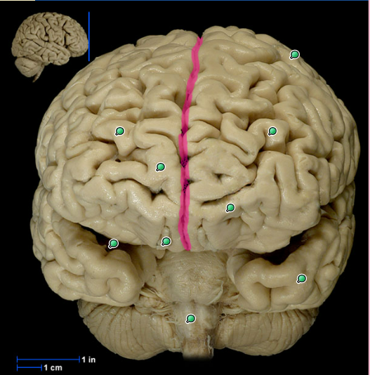 <p>What is this?</p>