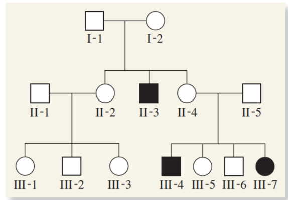 <p>What is the genotype of II-4 based on the following pedigree of a recessive trait?</p><p>Homozygous recessive</p><p>Heterozygous</p><p>Homozygous dominant</p>