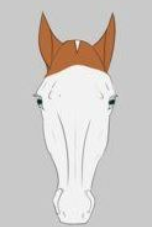 <p>Name the face marking: </p>