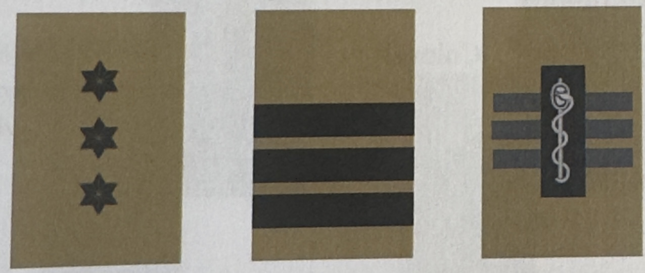 <p>Officiers subalternes 3/11</p>