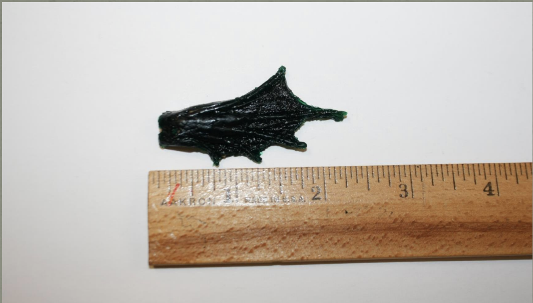 <p>Name this animal track</p>