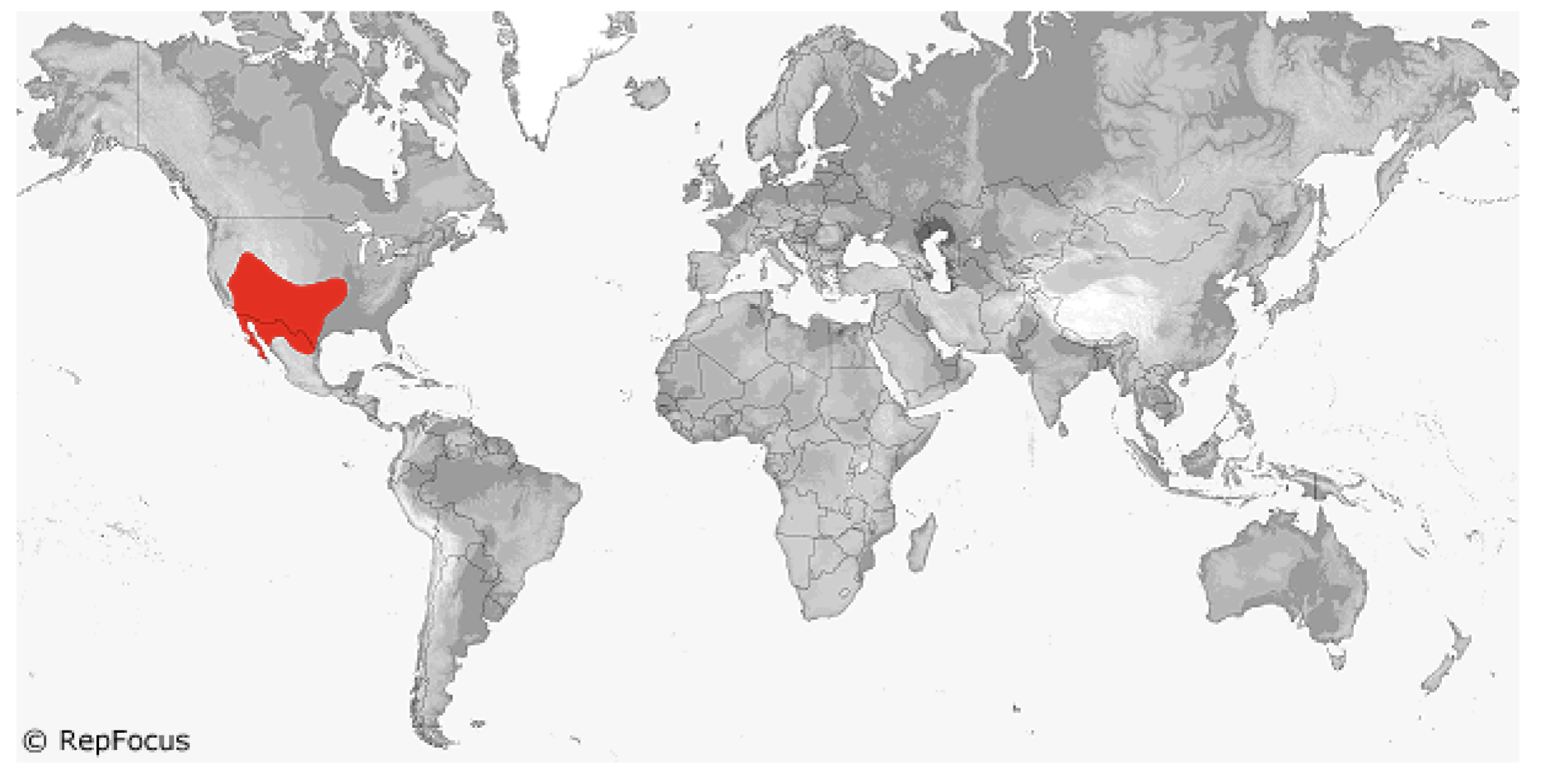 <p>Crotaphytidae</p>