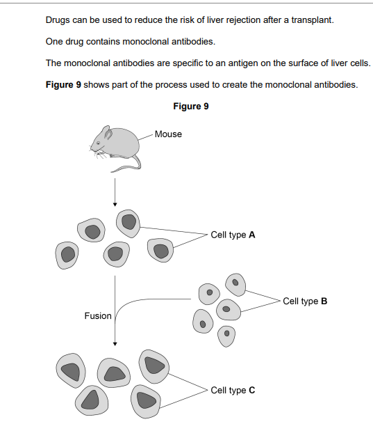 <p>2025: A patient with severe liver disease was given a liver transplant. </p><p>The drug containing the monoclonal antibody is given to the patient. </p><p>Explain how the monoclonal antibody stops the patient’s white blood cells from attacking the cells of the donor liver (3)</p>