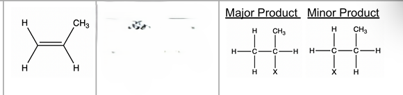 <p>alkene → HALOGENALKANES </p>