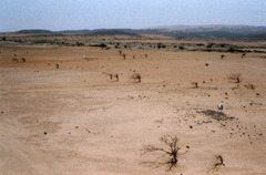 <p>A loss of more than 10% of productivity due to erosion, soil compaction, forest removal, overgrazing, drought, salt buildup, climate change, depletion of water resources, and other factors.</p>