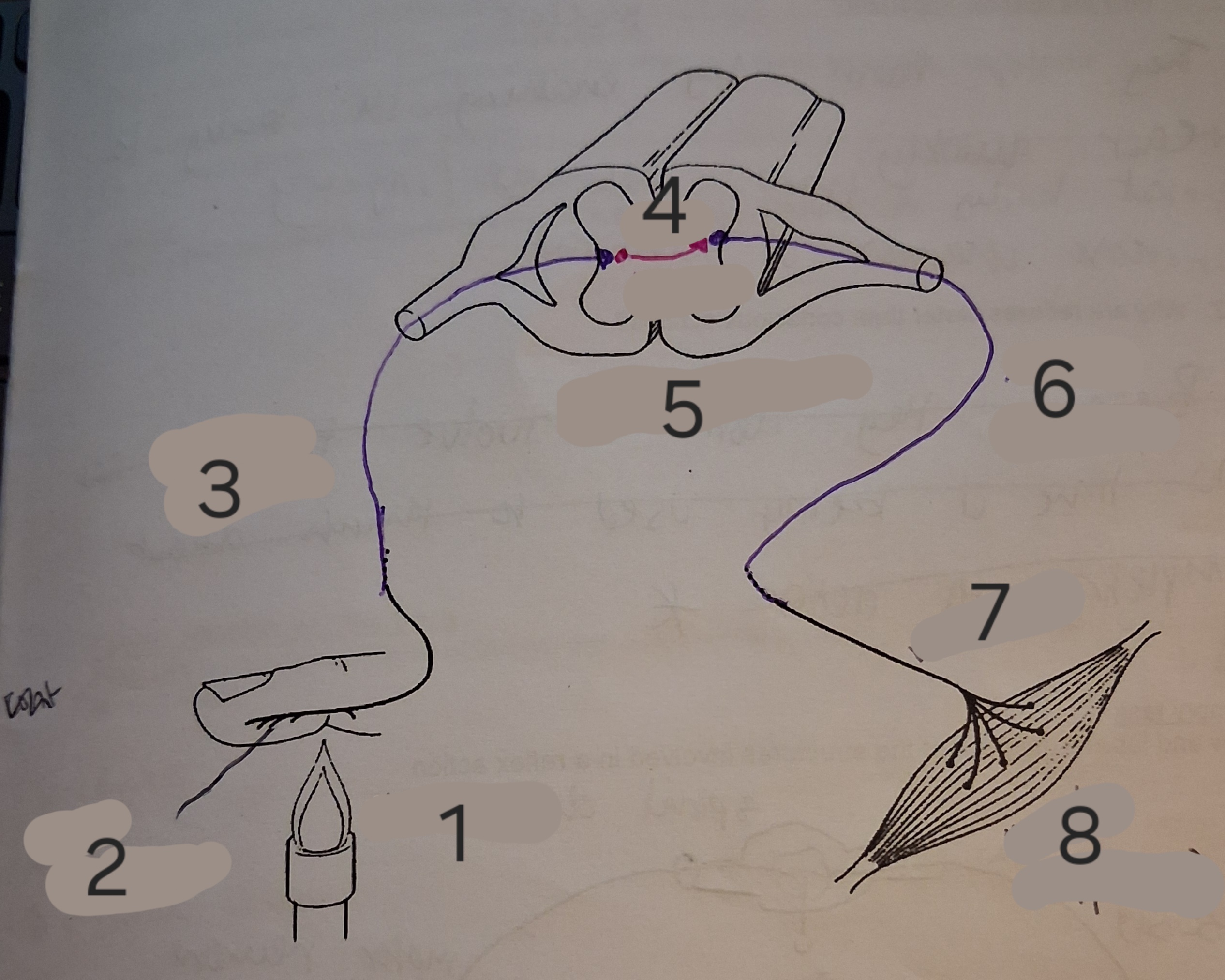 <p>Label the diagram</p>