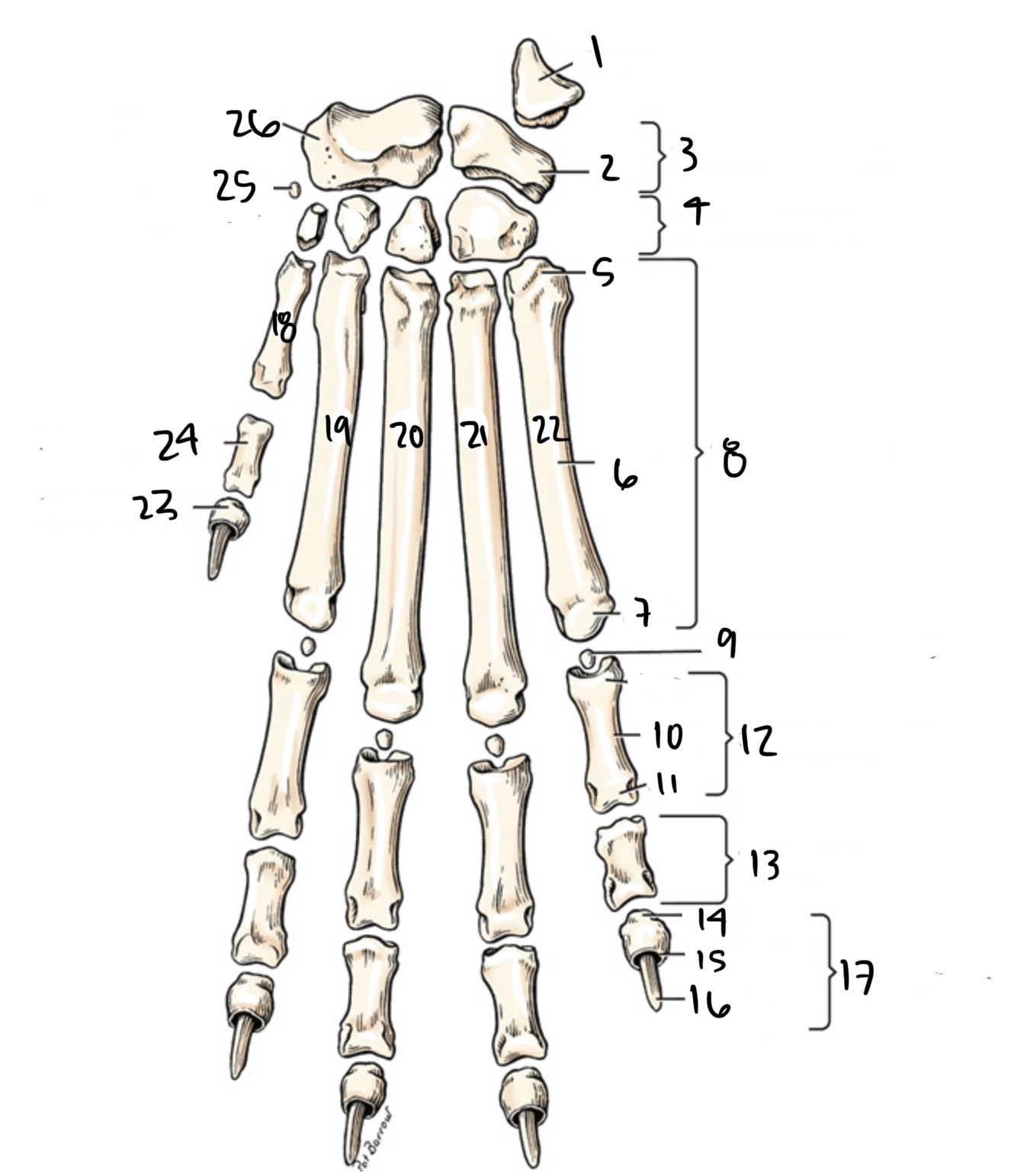 <p>5</p>
