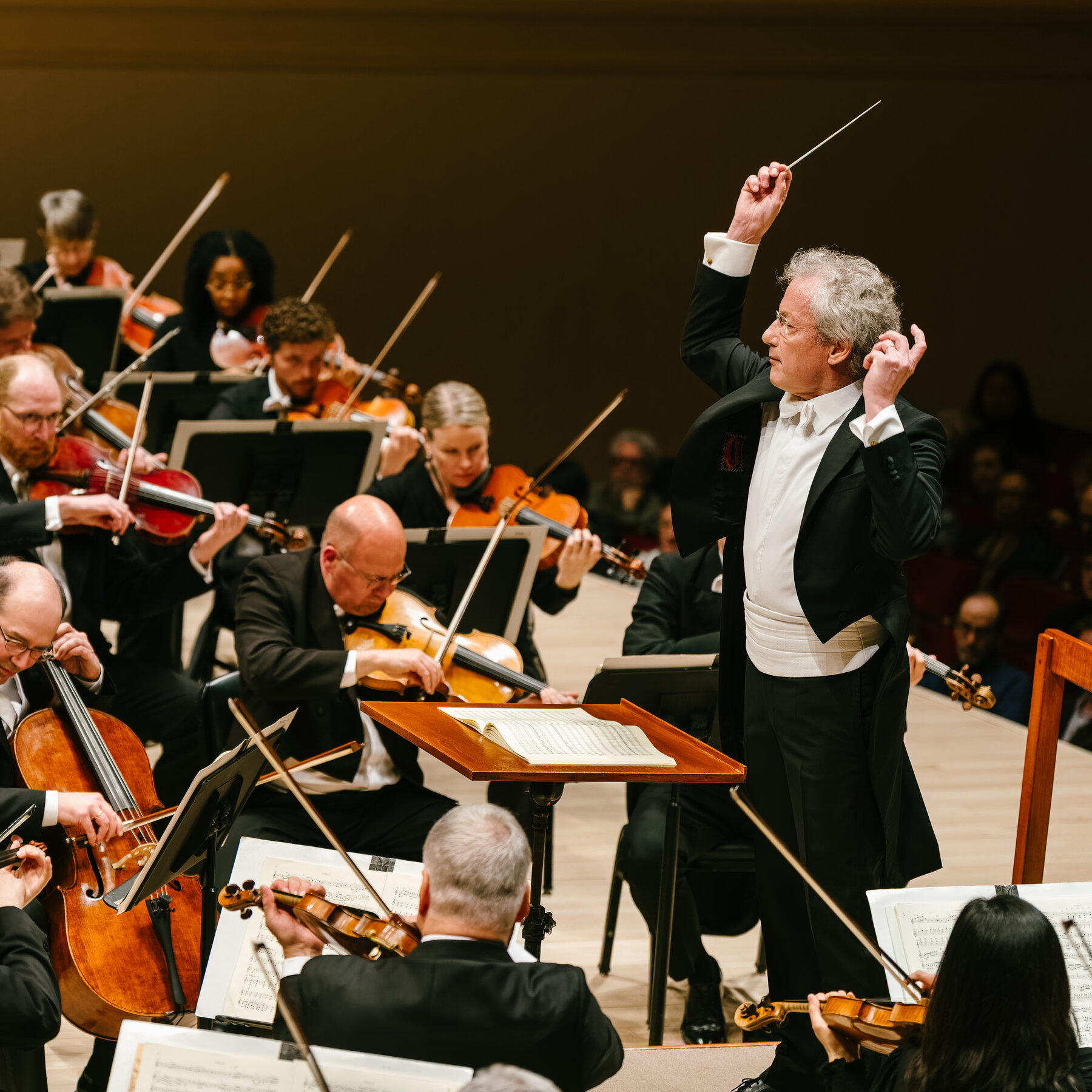 <p>orchestra</p>