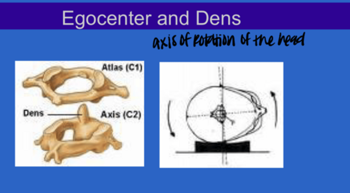 <p>What is the dens?</p>