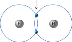 <p>weak attraction with slightly positive hydrogen and slightly negative atom</p>